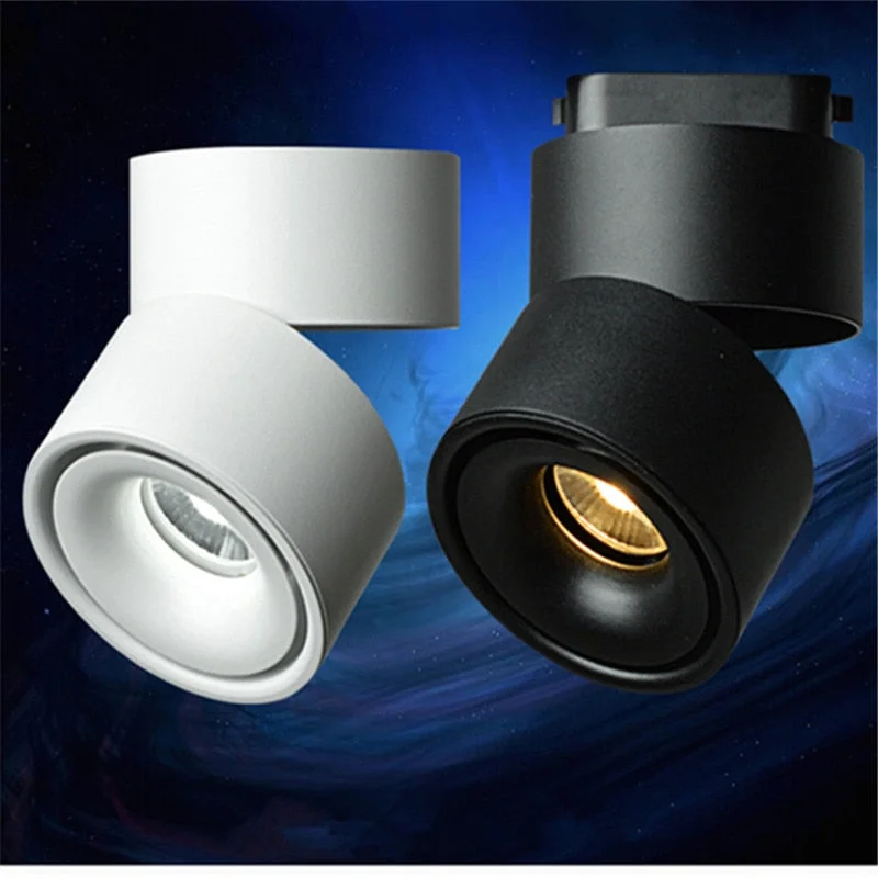 2026_06_25_222461