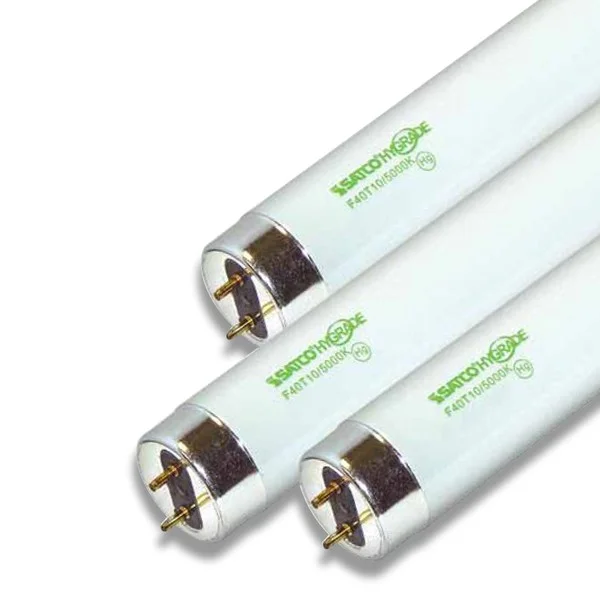 2026_06_26_236096